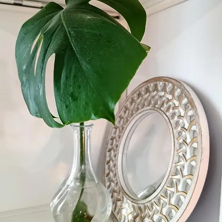 Apartamento Sema White *