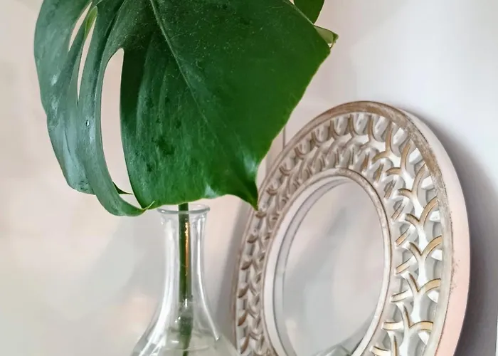 Lägenhet Sema White *